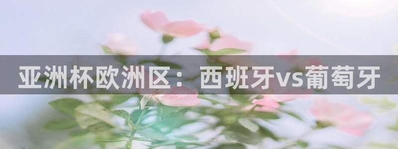 世界杯预选赛2026：亚洲杯欧洲区：西班牙vs葡萄牙