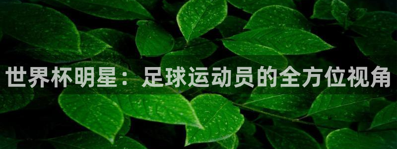 女足世界杯赛程：世界杯明星：足球运动员的全方位视角