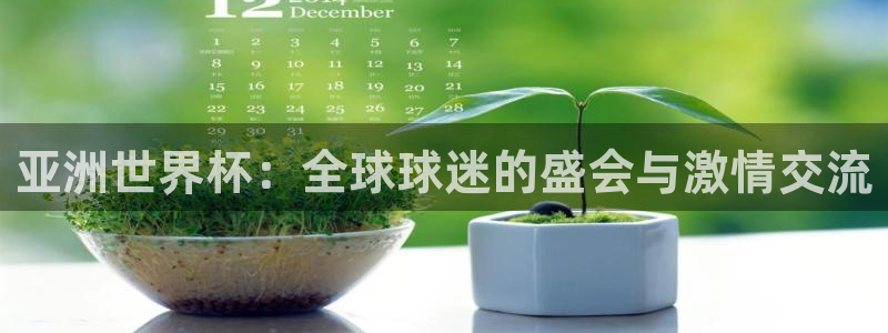 世界杯对阵表：亚洲世界杯：全球球迷的盛会与激情交流