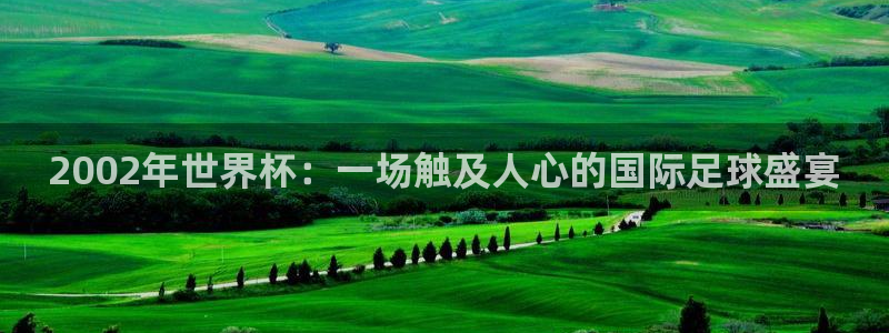 2026年男足世界杯：2002年世界杯：一场触及人心的国际足球盛宴