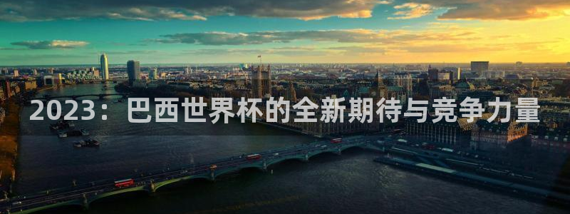 世界杯官网入口：2023：巴西世界杯的全新期待与竞争力量