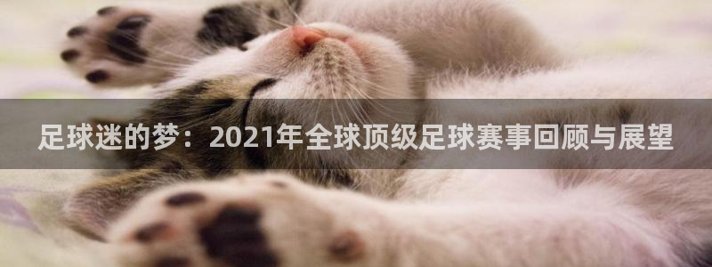 今年的世界杯：足球迷的梦：2021年全球顶级足球赛事回顾与展望