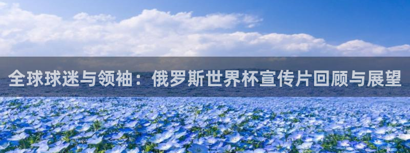 世界杯亚洲区预选赛：全球球迷与领袖：俄罗斯世界杯宣传片回顾与展望