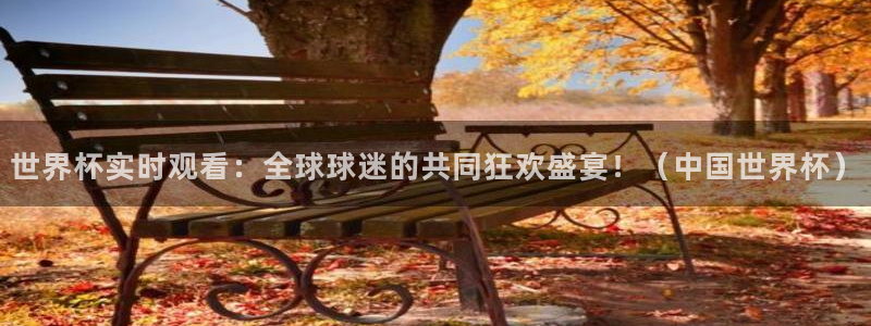 世界杯足球直播：世界杯实时观看：全球球迷的共同狂欢盛宴！（中国世界杯）