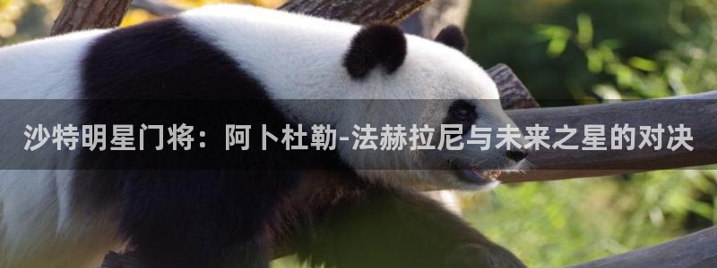 世界杯赛程表：沙特明星门将：阿卜杜勒-法赫拉尼与未来之星的对决