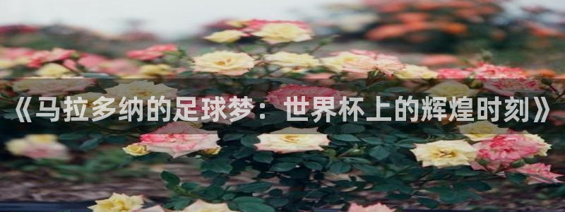 世界杯足球赛2026：《马拉多纳的足球梦：世界杯上的辉煌时刻》