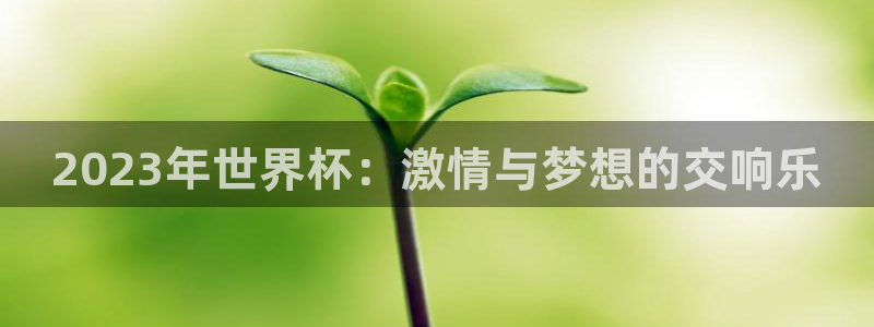 2026世界杯赛程时间表最新：2023年世界杯：激情与梦想的交响乐