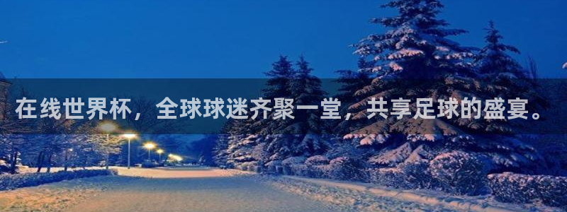 世界杯在线直播入口：在线世界杯，全球球迷齐聚一堂，共享足球的盛宴。